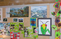 Examples of student work